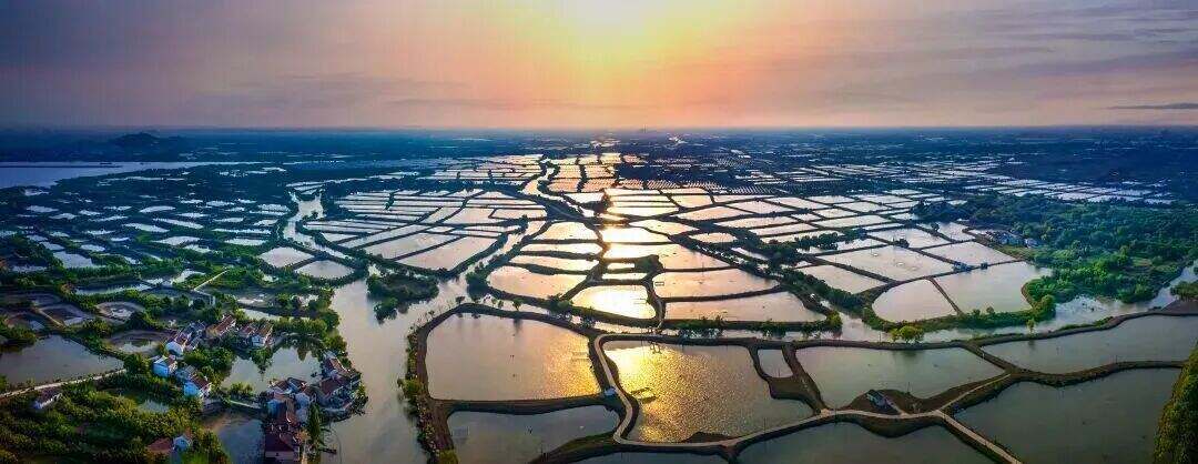 1979731013848190976.jpg 图片